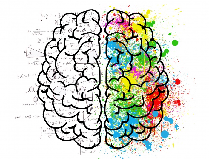 人腦可分「表意識頭腦」與「無意識頭腦」