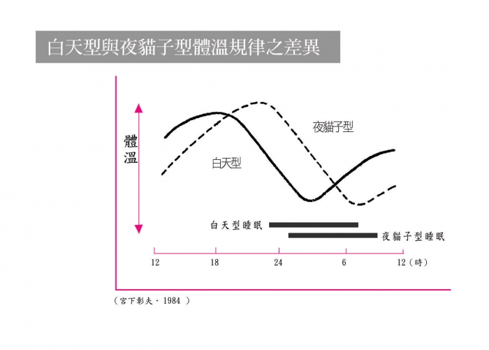 你是属於白天较活泼「白天型」或晚上较活泼「夜猫子型」？