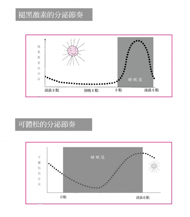 褪黑激素的分泌節奏